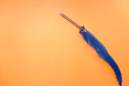 top view of fountain pen on orange backgroundの写真素材