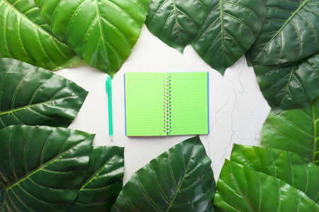 high angle view of open notepad on green leaf backgroundの写真素材