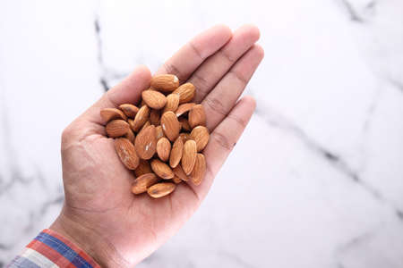 Top view almond nuts on handの写真素材