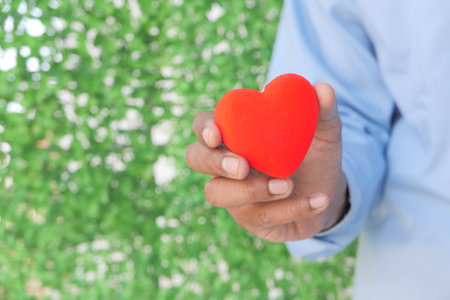 man holding red heart on green backgroundの写真素材