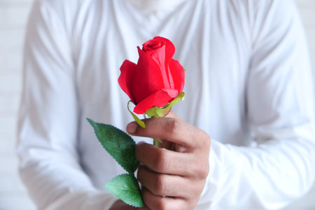 unrecognized man hand holding rose flower on white backgroundの写真素材