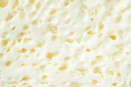 close up of fresh cheese on white background.