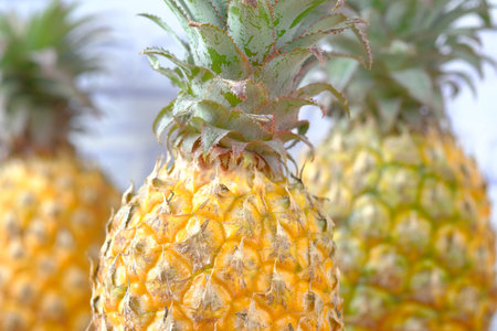 close up of fresh Pineapple on table
