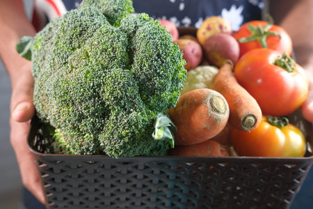 hand holding a bowl of fresh vegetables top downの写真素材