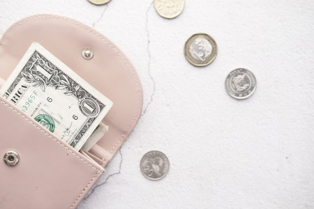 One dollar cash in leather on white background