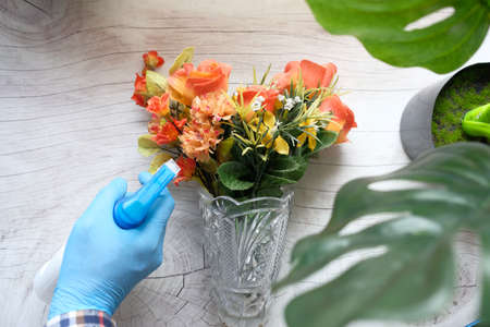 hand holding spray bottle watering plan on table with copy spaceの写真素材