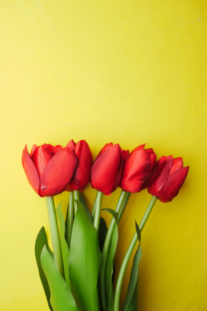 red color tulip flower against yellow background