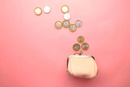 top view of coins in a small leather bag on pinkの写真素材