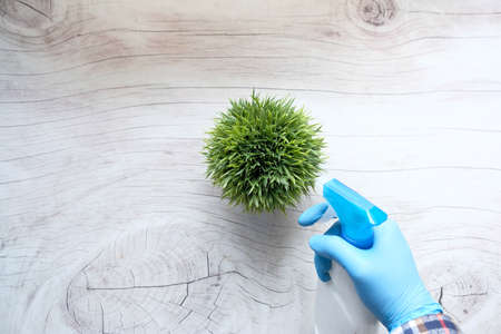 hand holding spray bottle watering plan on table with copy spaceの写真素材