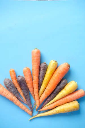 mixed colorful carrot on blue backgroundの写真素材