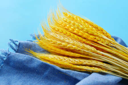 detail shot of wheat spikelets on tableの写真素材