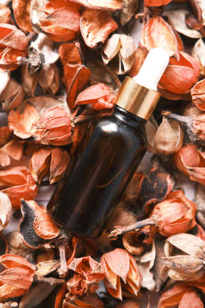 Essential lavender oil and dry flowers on table with copy spaceの写真素材
