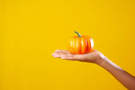hand hold a small pumpkin against yellow backgorundの写真素材