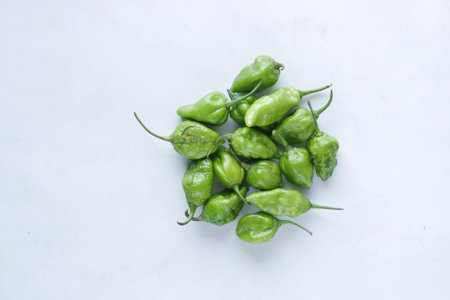 green chili on a white background with copy spaceの写真素材
