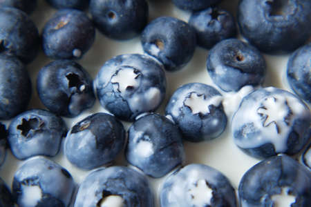 wiped cream on fresh blue berryの写真素材