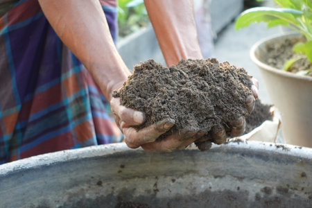 farmer hand hold soil close up