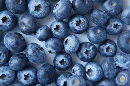 Close up of fresh blue berry with water drops .の写真素材