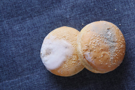 brown bread with mildew. Spoiled productsの写真素材