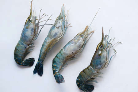 close up of raw king prawn on table.の写真素材