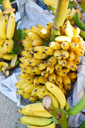 banana display for sale at local marketの写真素材