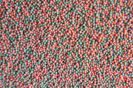 top view of pet fish food in a containerの写真素材