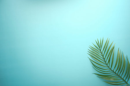 Tropical background i with palm leaf and green color