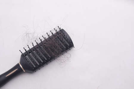 a brush with lost hair on a white backgroundの写真素材