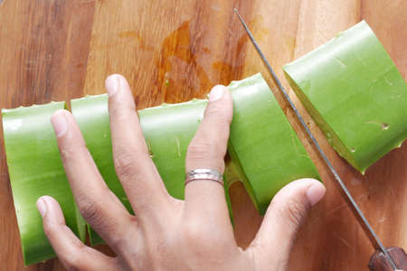 Close-up Fresh Aloe vera sliced on a chopping boardの写真素材
