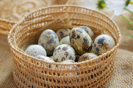 close up of Quails eggs in a boxの写真素材