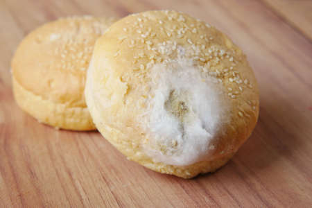 brown bread with mildew. Spoiled productsの写真素材