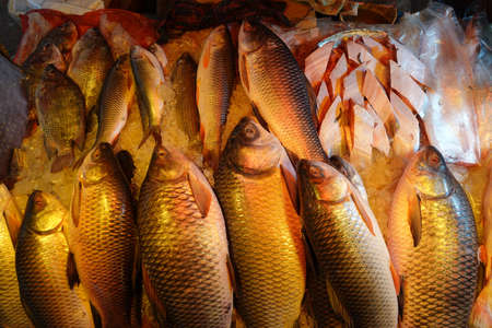 raw fish display for sale at local market in Bangladeshの写真素材