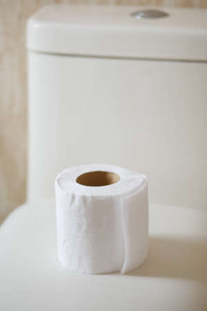 roll of toilet paper in toiletの写真素材