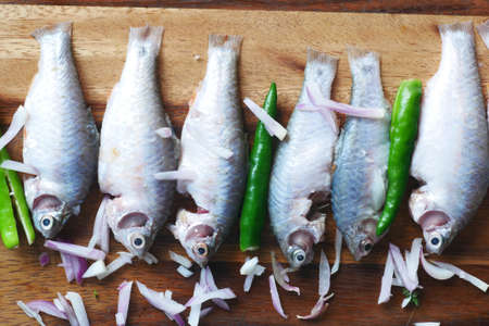 raw fresh fish on a chopping board for preparing for cooking on table ,の写真素材