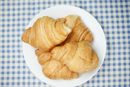fresh baked croissant on plate with copy space