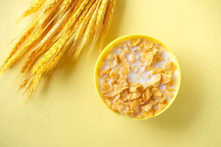 slow motion of pouring milk in corn flakes on yellow backgroundの写真素材