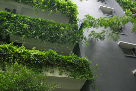building with plants growing on the facadeの写真素材
