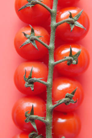red color small tomato on tableの写真素材