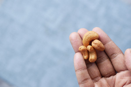 cashew nuts on hand top viewの写真素材