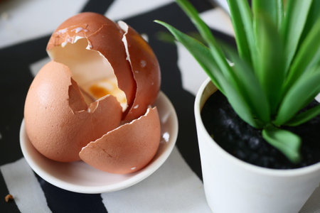 Eggs shell in a small bowl on table