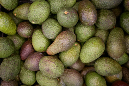 many avocado display for sale at local store
