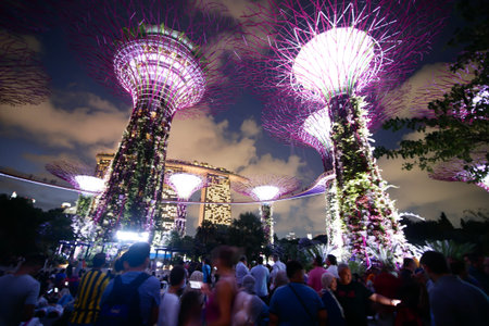 Singapore 10 june 2022. lighting on Gardens by the bay at nightのeditorial素材
