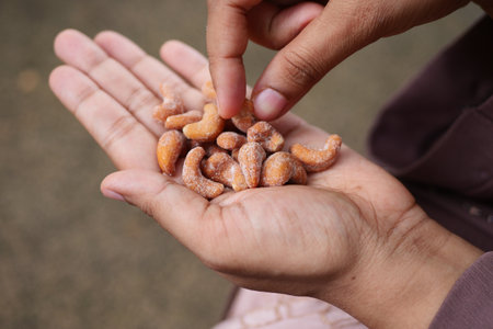 women hand pick a cashew nutの写真素材
