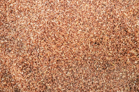 red rice in a bowl on table , haradighi riceの写真素材