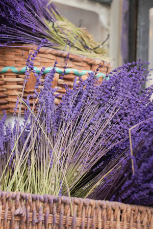 Dry Lavender Bunches Close up ,の写真素材