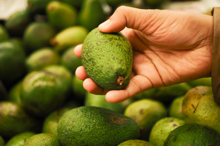 young women hand holding avocado shopping at retail storeの写真素材
