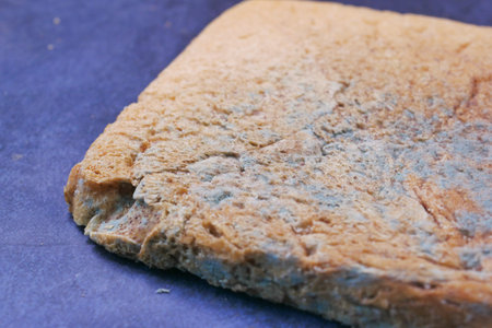 bread with mildew. Spoiled productsの写真素材