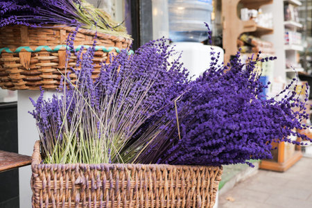 Dry Lavender Bunches Close up ,の写真素材