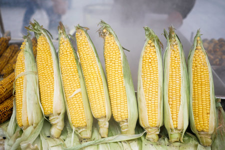 Grilled Corn for sale in a market stall in istanbul