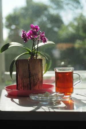 Traditional turkish tea and sugar cube on tableの写真素材