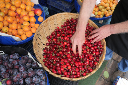 ripe fresh cherry in a vegetable basketの写真素材